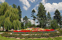 Areál, park